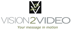 Vision2Video